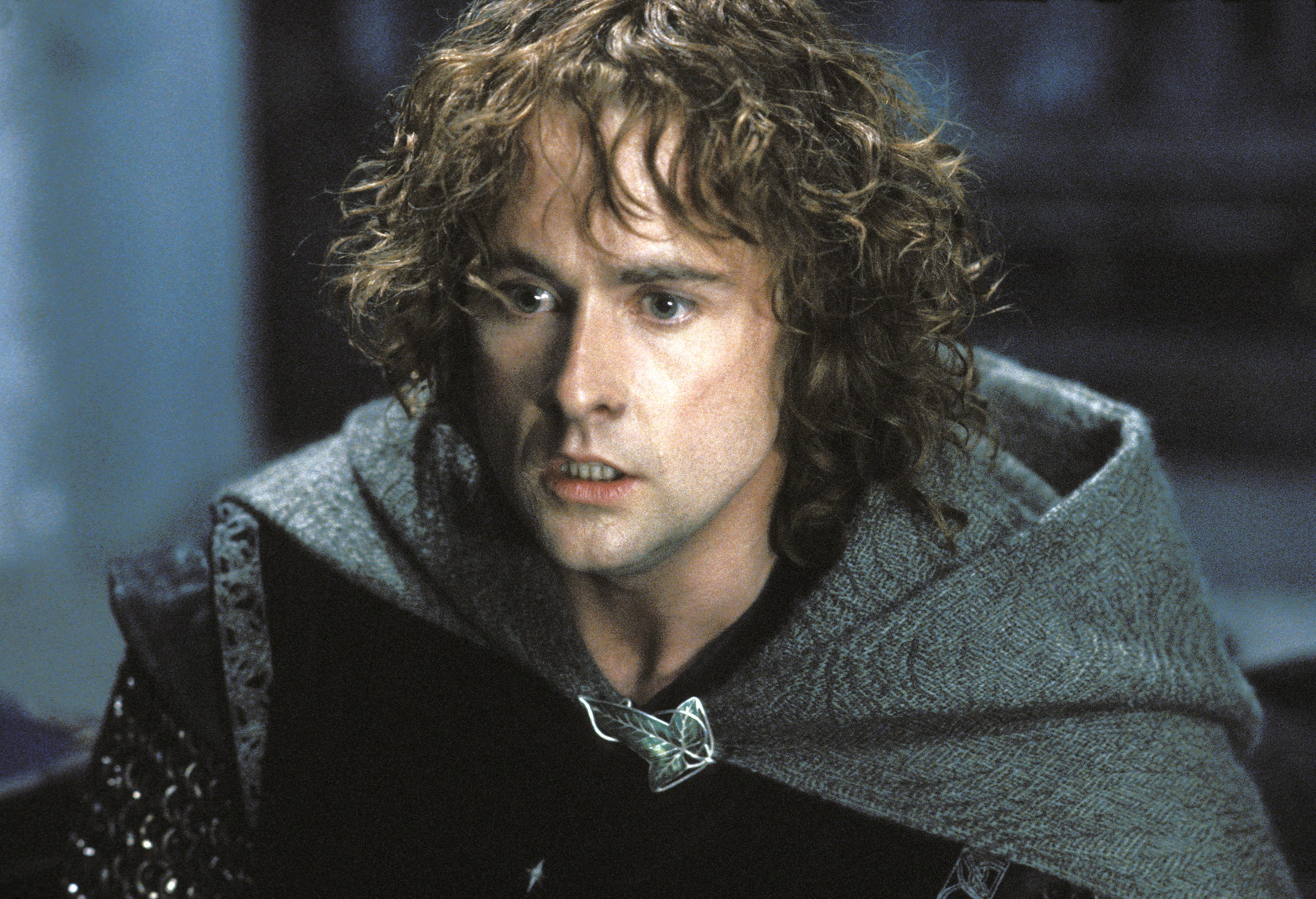 Billy Boyd in The Lord of the Rings: The Return of the King (2003)