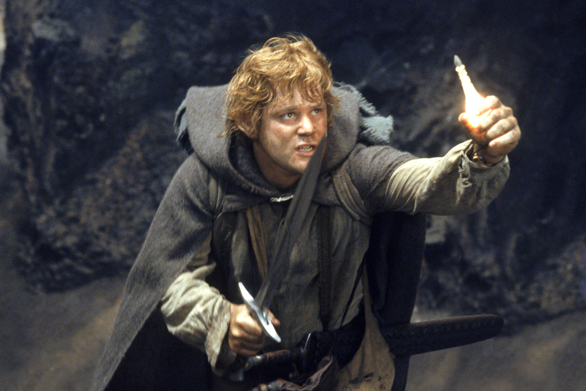 Sean Astin in The Lord of the Rings: The Return of the King (2003)