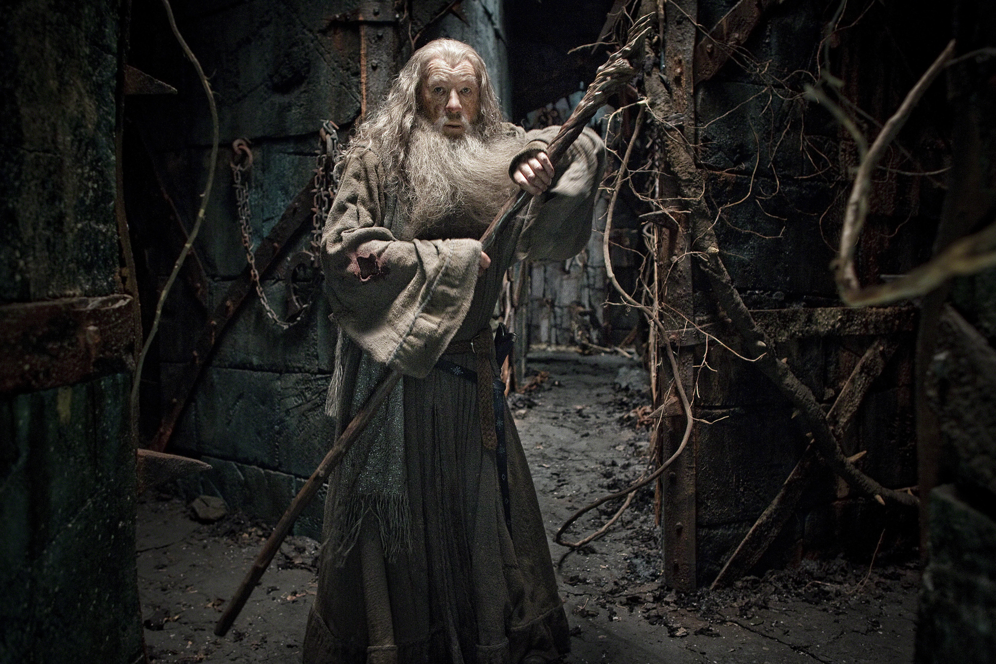 Ian McKellen in The Hobbit: The Desolation of Smaug (2013)