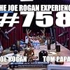 Joe Rogan and Tom Papa in The Joe Rogan Experience (2009)
