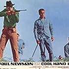 Paul Newman, George Kennedy, Marc Cavell, and Morgan Woodward in Cool Hand Luke (1967)