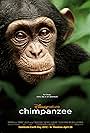 Chimpanzee (2011)