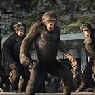 Sara Wiseman, Travis Jeffery, Owen Teague, and Lydia Peckham in Kingdom of the Planet of the Apes (2024)