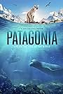 Patagonia (2022)