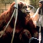 Jennifer Connelly, Rob Mills, and Ron Mueck in Labyrinth (1986)