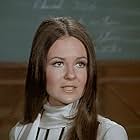 Shelley Fabares in McCloud (1970)