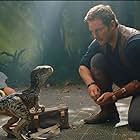 Chris Pratt in Jurassic World: Fallen Kingdom (2018)