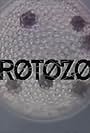 Protozoa (1993)