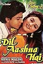 Divya Bharti and Shah Rukh Khan in Dil Aashna Hai (...The Heart Knows) (1992)