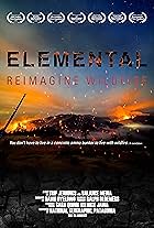Elemental: Reimagine Wildfire