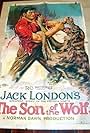The Son of the Wolf (1922)