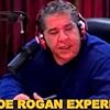Joey Diaz in The Joe Rogan Experience (2009)