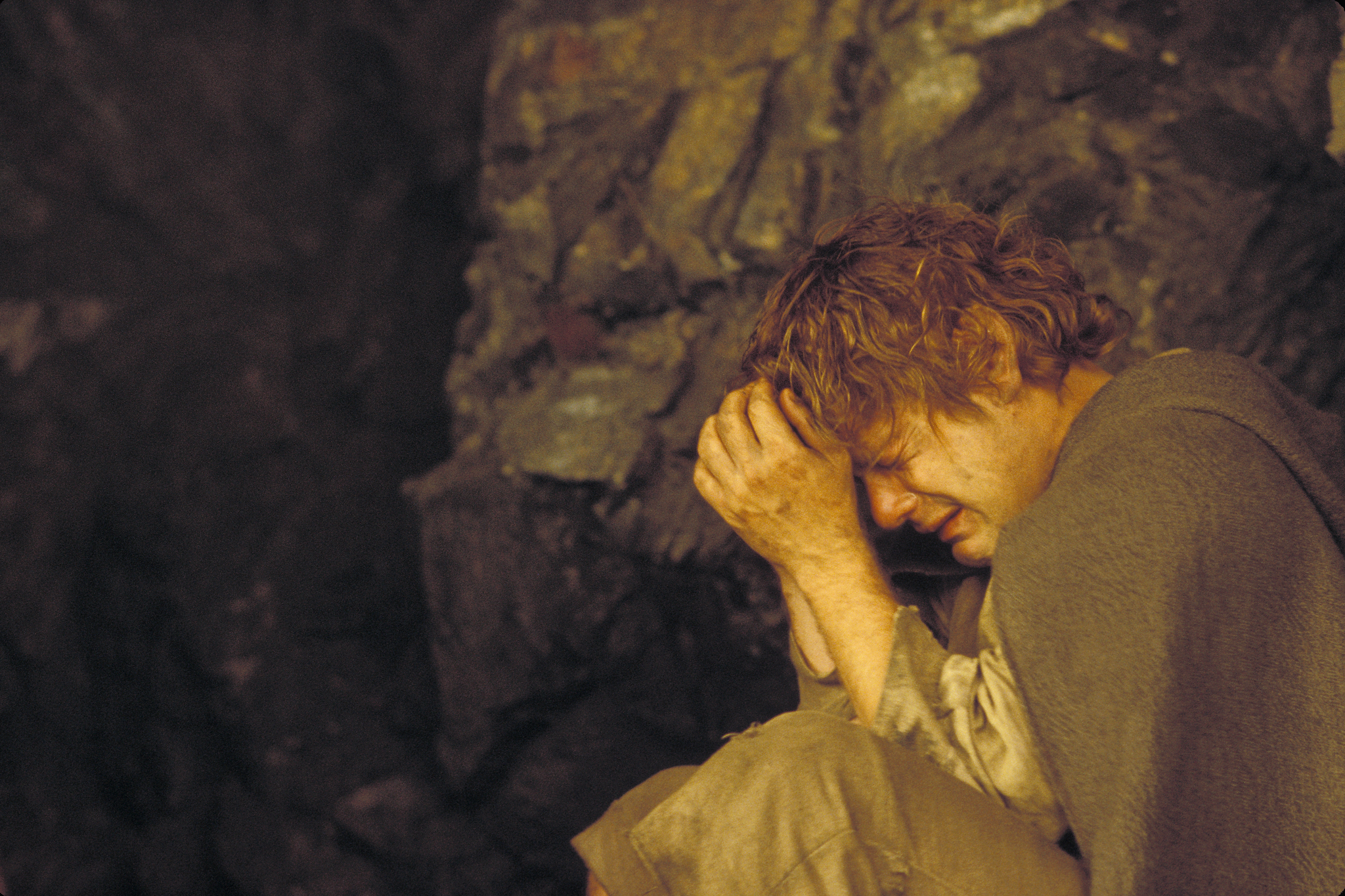 Sean Astin in The Lord of the Rings: The Return of the King (2003)