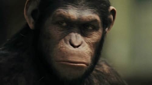 Rise Of The Planet Of The Apes: The Awakening