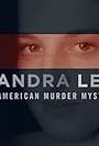 Chandra Levy: An American Murder Mystery (2017)