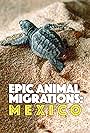 Epic Animal Migrations: Mexico (2020)