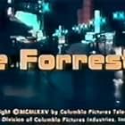 Joe Forrester (1975)