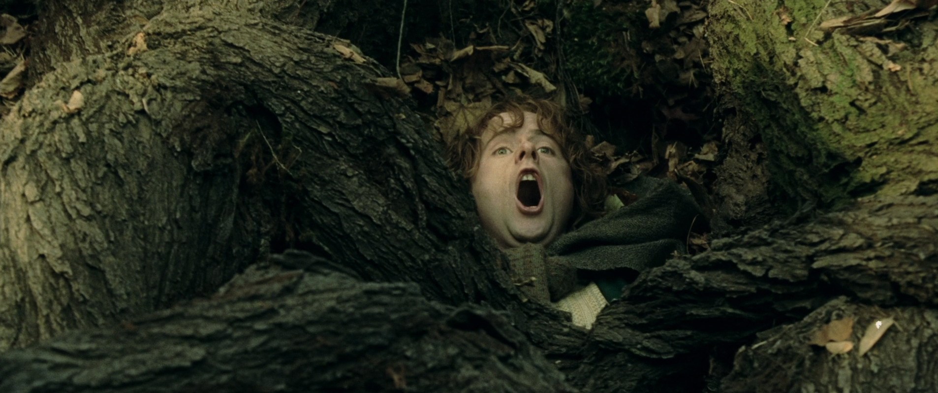 Billy Boyd in The Lord of the Rings: The Two Towers (2002)