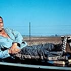 Paul Newman in Cool Hand Luke (1967)