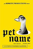 Pet Name