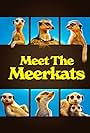Meet the Meerkats (2021)
