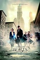 Fantastic Beasts and Where to Find Them: Before Harry Potter