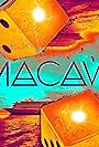 Macaw (2023)