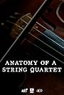Anatomy of a String Quartet (2022)