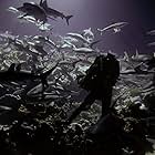 Doug Anderson filming Grey Reef sharks at night in French Polynesia for Netflix's "Our Planet"