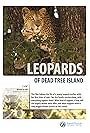 Leopards of Dead Tree Island (2010)
