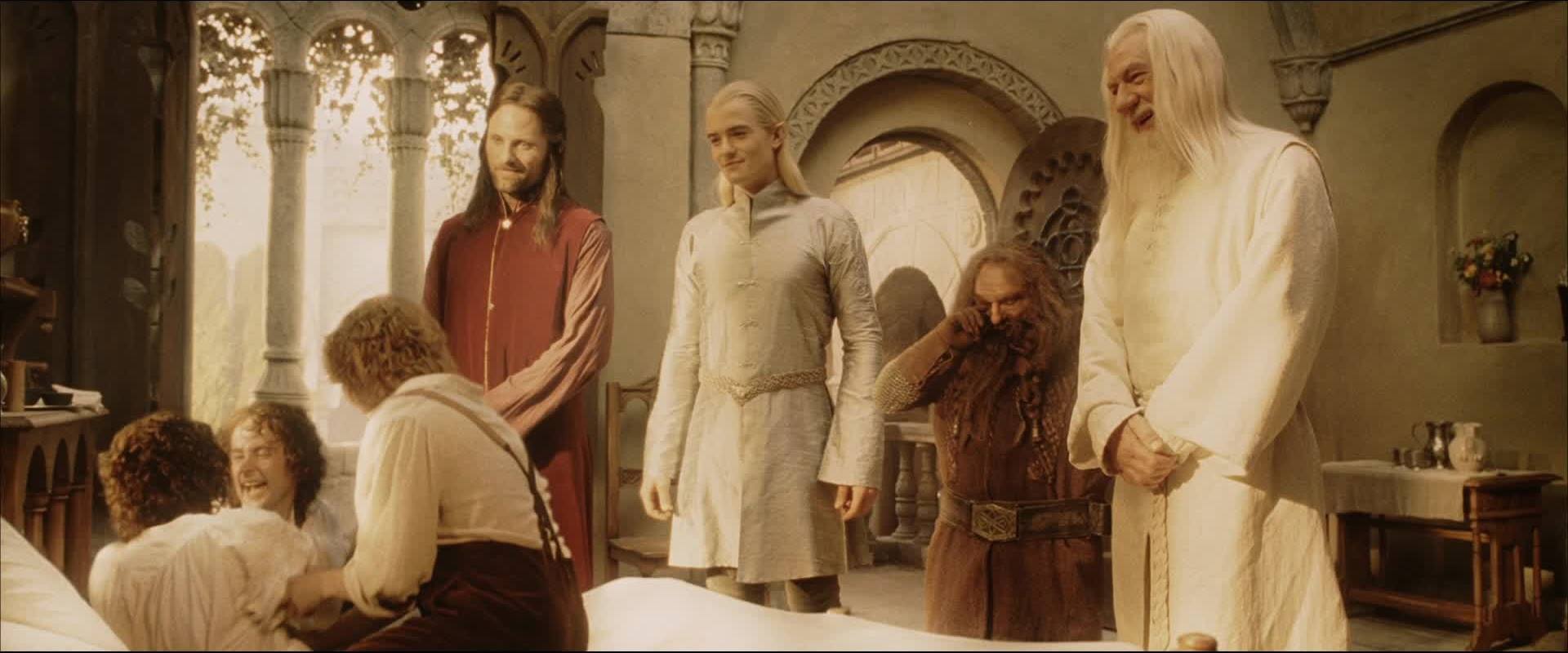 Elijah Wood, Viggo Mortensen, Ian McKellen, Orlando Bloom, Billy Boyd, Dominic Monaghan, and John Rhys-Davies in The Lord of the Rings: The Return of the King (2003)
