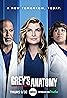 Grey's Anatomy (TV Series 2005– ) Poster