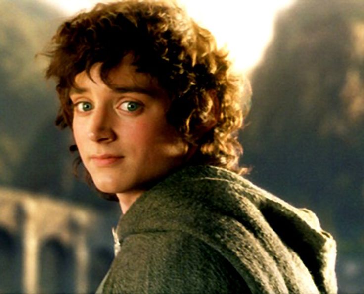 Elijah Wood in The Lord of the Rings: The Return of the King (2003)