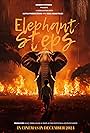Elephant Steps