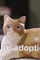 Up for Adoption