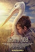 Finn Little in Storm Boy (2019)