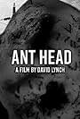 Ant Head (2018)