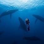 Doug Anderson filming Humpback Whales in Hawaii for BBC's "Mating Game"