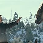 Chris Pratt in Jurassic World Dominion (2022)