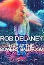 Rob Delaney Live at the Bowery Ballroom (2012)