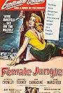 Jayne Mansfield in Female Jungle (1955)