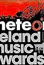 The Meteor Ireland Music Awards 2004 (2004)