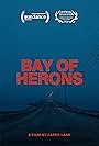 Bay of Herons (2023)