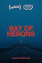 Bay of Herons