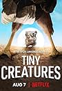 Tiny Creatures (2020)