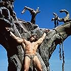 Arnold Schwarzenegger in Conan the Barbarian (1982)