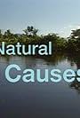 Natural Causes (1996)