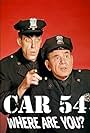 Car 54, Where Are You? (1961)