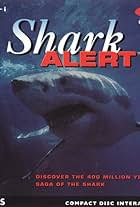 Shark Alert (1993)