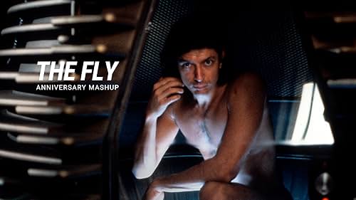 'The Fly' | Anniversary Mashup